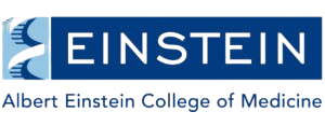 Partner Institution 6