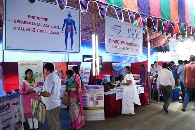 Exhibition 2015 (26)