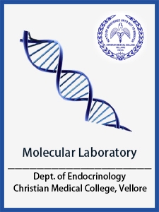 Endocrinology CMC Vellore 